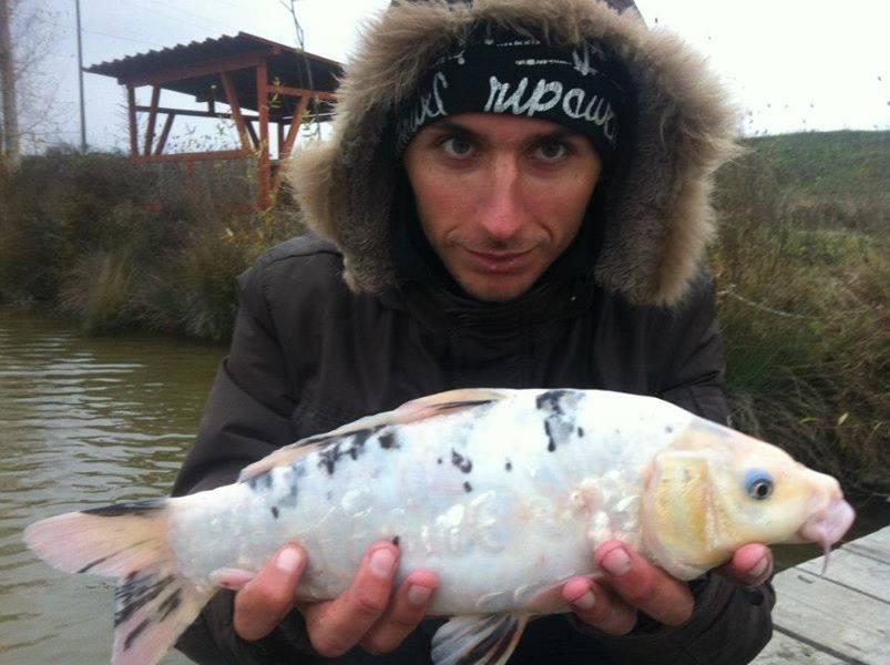 2013 - 3 - image11111111111111111.jpg